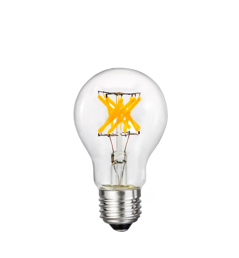 A19 ES LED Filament Bulb